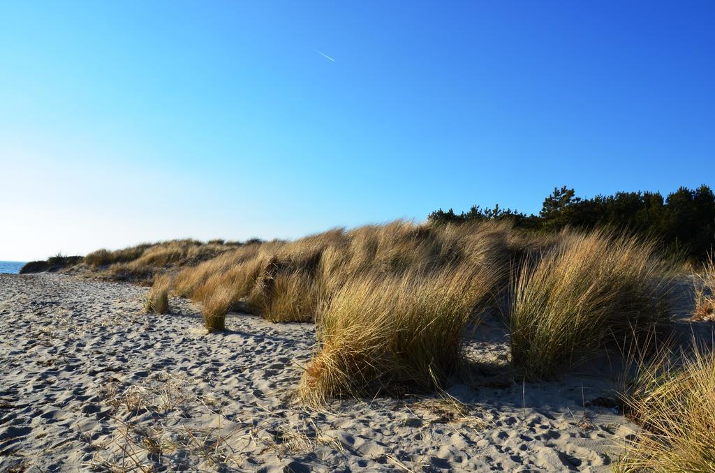 Strandapartment-Mondfisch An Der Ostsee Thiessow Δωμάτιο φωτογραφία