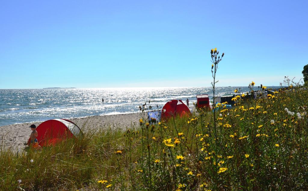 Strandapartment-Mondfisch An Der Ostsee Thiessow Δωμάτιο φωτογραφία